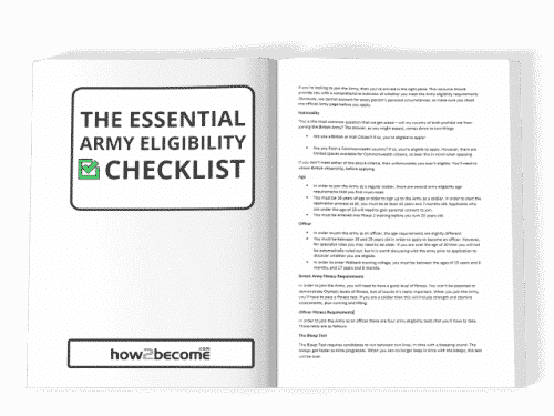 army assignment eligibility (aea) flags